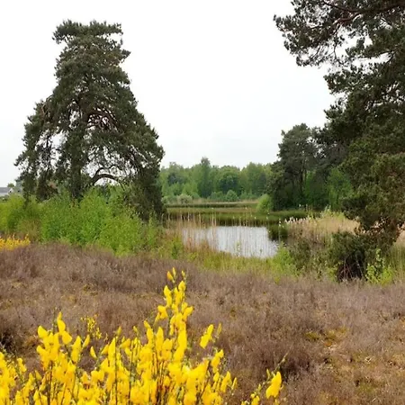Hébergement de vacances Holiday Home Nijmegen With Lake View